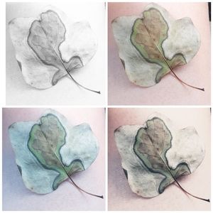 Meet your Posher, Jeanette